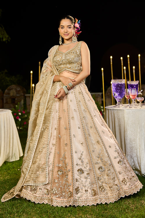 Aabroo Beige Organza Lehenga Set