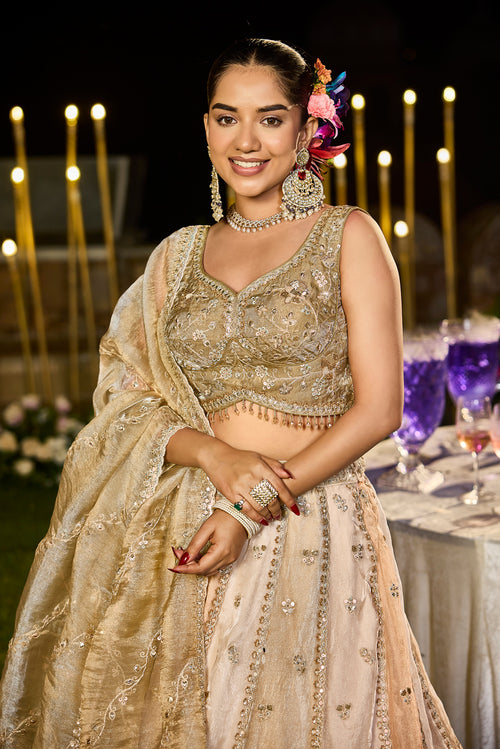 Aabroo Beige Organza Lehenga Set